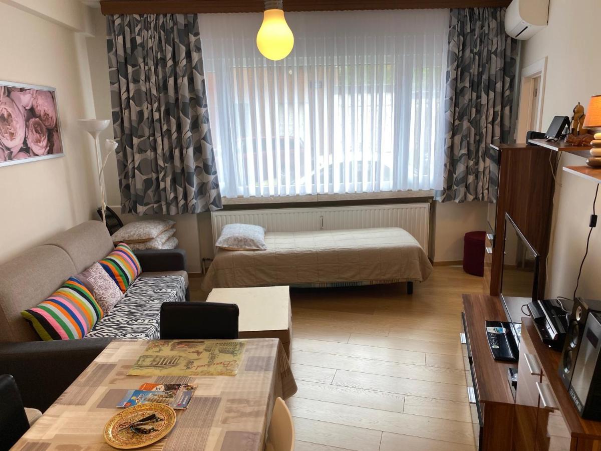 One-Bedroom Apartment Near Atomium Βρυξέλλες Εξωτερικό φωτογραφία